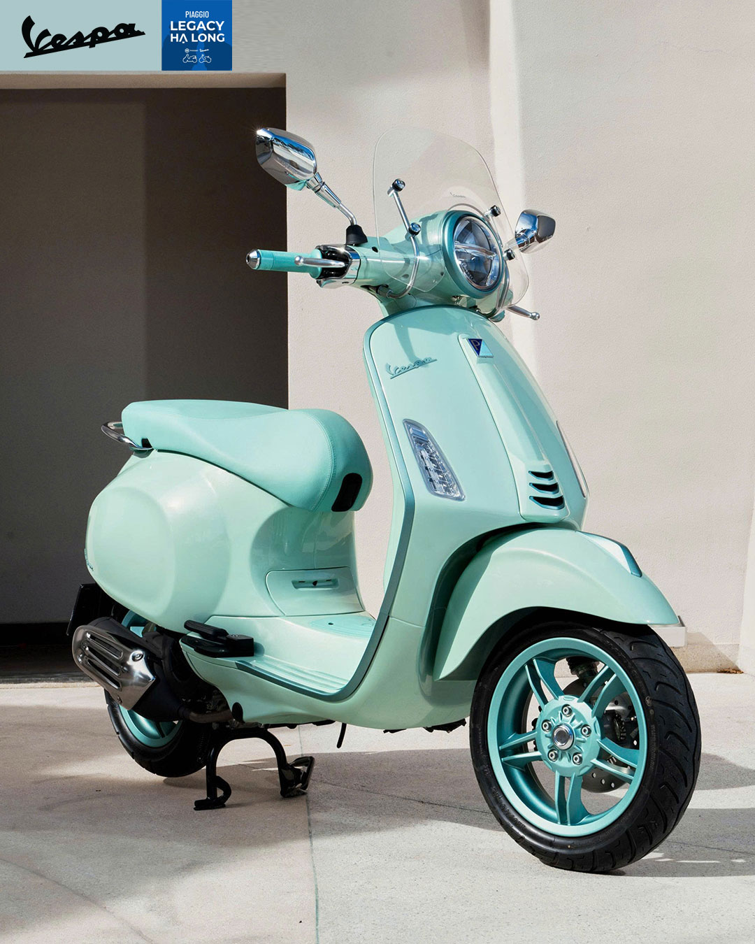 Thiết kế độc quyền cho thị trường Việt Nam